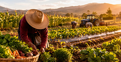 Gobierno federal eliminará deudas a miles de mujeres y productores del campo