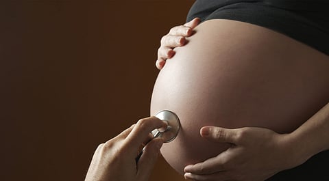 Ser madre en la ciencia, un parteaguas en la trayectoria de investigadoras