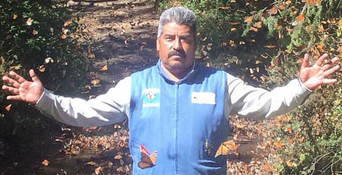 El “Guardián de la Monarca” vivirá en la ley: Congreso de Michoacán creará premio “Homero Gómez” al mérito ambiental