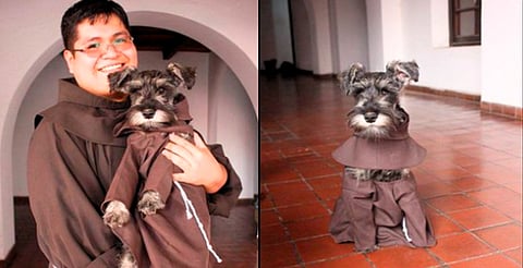 De callejero a fraile: la historia del perro adoptado por monjes en Bolivia