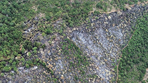 Tras varios días de combate, logran controlar incendio en el Estribo Grande de Pátzcuaro