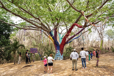 🌳 El Árbol de los Deseos, la misteriosa parada rumbo a la costa de Michoacán