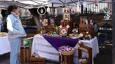 Madres autónomas representan el 70% de beneficiarias de Morelia Emprende: Semmujeris