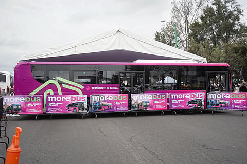 ¡Arranca obra del Morebús! Estará listo en febrero de 2027