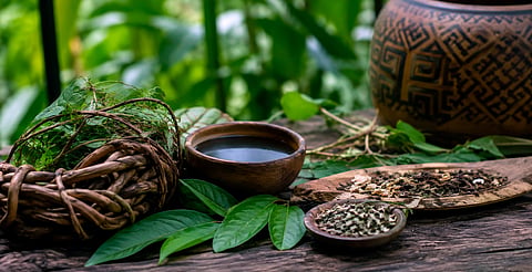 Ayahuasca en Michoacán: autoridad sanitaria advierte riesgos y vacío legal