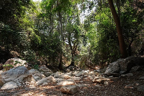 Las pozas secretas que sobreviven ocultas en la sierra de Aquila