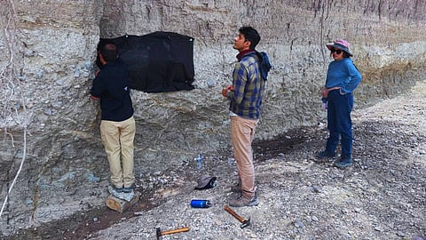 Descubren posible mamut enterrado en comunidad de San Luis Potosí