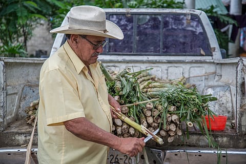 Programa “Volver a Crecer” beneficiará a 4,657 michoacanos con deuda en el campo