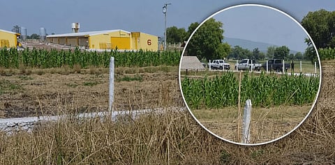 Hallan cadáver con visibles huellas de violencia cerca de granja Kepollo en la comunidad de Tzintzimeo