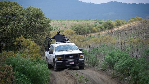 México registra histórica mejora en índice de paz; Michoacán ha reducido en 70% los homicidios