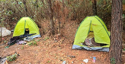 Hallan campamento de presunto grupo delincuencial en zona boscosa de Nahuatzen