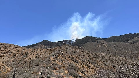 Fuego consume pinos y pastizales en Área Natural Protegida de Baja California