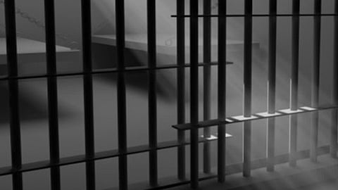 Las detenciones se dieron en diversas ciudades como Nueva York, Los Angeles y San Antonio (Foto ilustrativa)