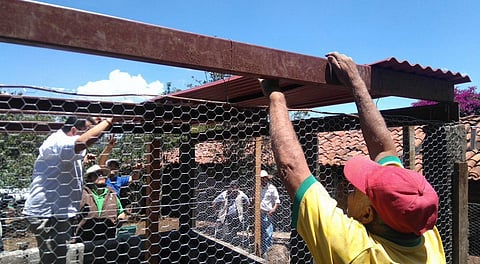 Presentan en Michoacán un modelo de gallinero de impacto nacional