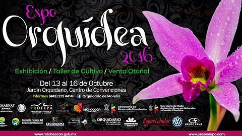 La Expo Orquídea 2016 será inaugurada este jueves 13 de octubre a las 10:00 horas en el Jardín Orquidario