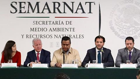 Científicos y ONGs aseguran que el manejo forestal sustentable es la mejor herramienta para conservar los bosques