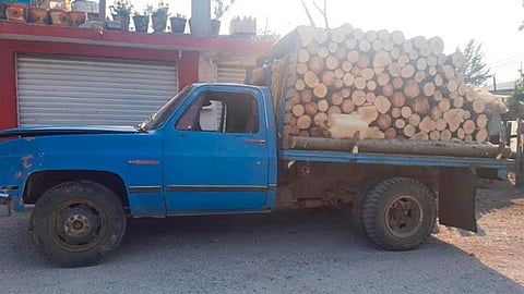 Aseguran más de 100 rollos de madera en Áporo y detienen a dos personas