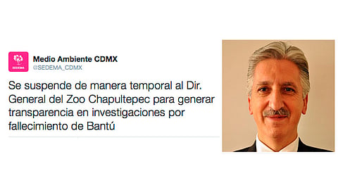 "Bantú" dejó de existir cuando era traslado del zoológico de Chapultepec de la CDMX al de Guadalajara