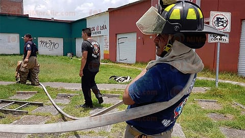 La labor de los bomberos impidió se propagara el fuego a otras áreas (Foto: RED 113)