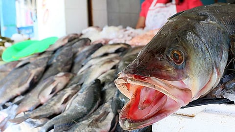 Los pecados y mariscos se encarecen hasta 35 por ciento durante la Cuaresma y Semana Santa (Foto: Archivo)