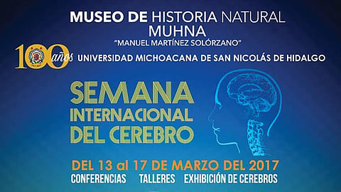 El evento se realiza anualmente a nivel internacional