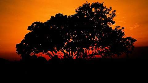 Impresionante: Un video grabado por un dron muestra la belleza natural y salvaje de Sudáfrica
