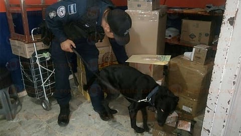 Dieron con la droga gracias a la Unidad Canina