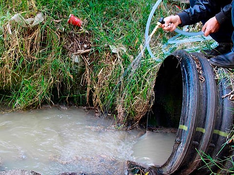 Existe una amplia variedad de microorganismos que poseen la capacidad de descontaminar el agua, mediante la bisorción, la biodegradación y la producción de enzimas que catalizan la degradación del contaminante (Foto ilustrativa)