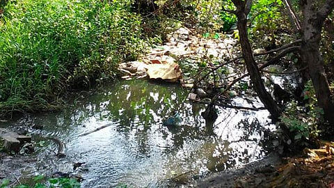 Ramírez Canals hizo un llamado enérgico a la población de evitar tirar desechos en las calles (Foto: Ilustrativa/Cortesía)