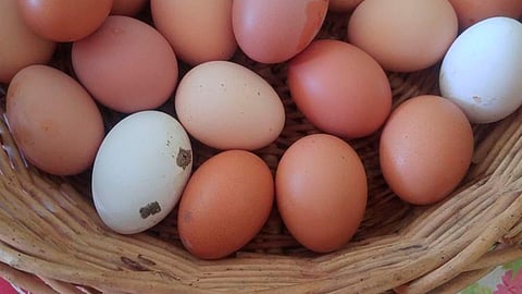 ¡Cuidado! Estos son los errores más comunes al almacenar huevo, según Profeco