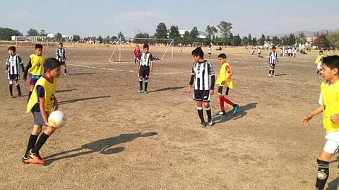 (Foto: Cortesía)