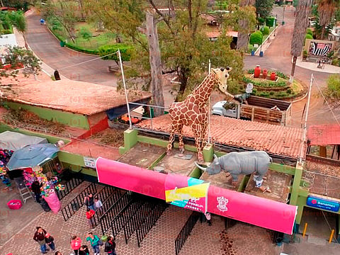 Zoológico de Morelia cumple 48 años