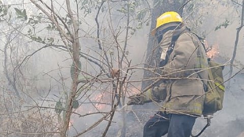 El Movimiento Ciudadano en Defensa de la Loma pidió a las autoridades no permitir este tipo de acciones ilegales
(Foto: Cortesía)
