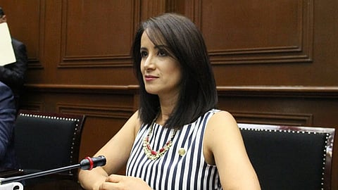 Mencionó que este tema debe ser una prioridad en las acciones que impulsa el Gobierno Federal (Foto Cortesía)