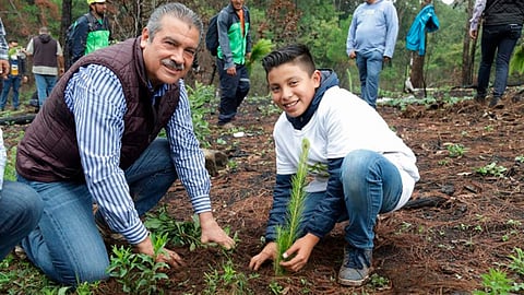 Se plantaron 10 árboles en la zona (Foto: Especial)