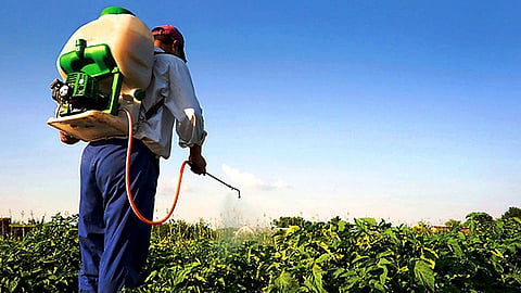 Recortarán casi 30 por ciento el Presupuesto Federal 2020 para el campo (Foto twitter @NarroJose)