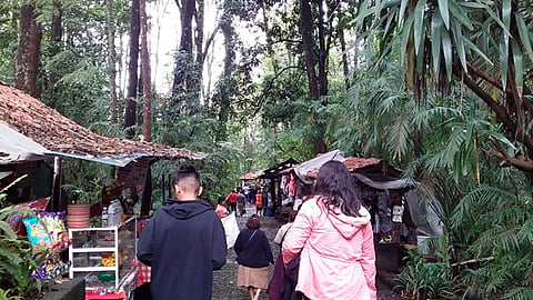 Los turistas a este parque natural son tanto locales como extranjeros
(Foto: Cortesía)