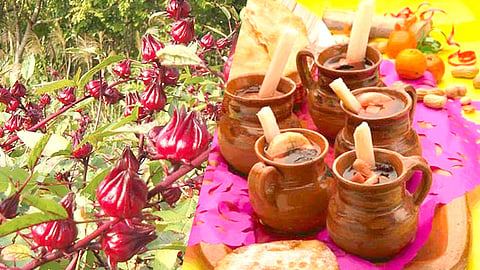La Huacana, Churumuco y Aquila, los principales municipios que encabezan el cultivo de la flor (Foto Especial)
