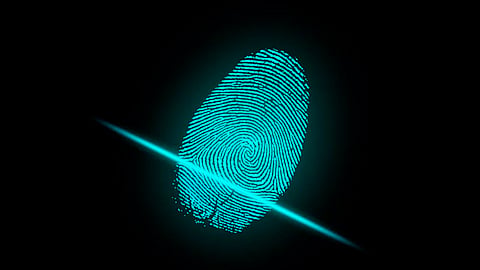 El comisionado presidente pidió a las autoridades federales no hacer un "experimento", porque el asunto es complejo y mejor analizarlo de fondo
(Foto: pixabay)