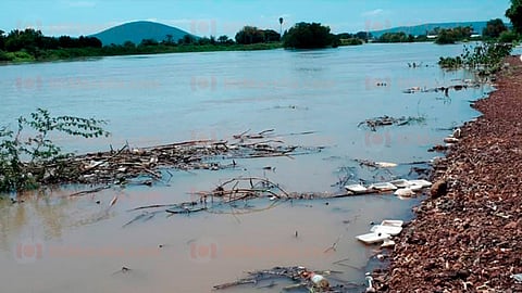 Vecinos de la colonia Cuatro Milpas denunciaron públicamente la mortandad de peces y los olores fétidos que se registran en la zona por la contaminación de río (Foto: RED 113)