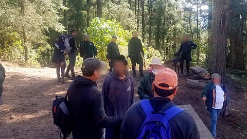 Fue encontrado dentro de un pozo a donde se cree que cayó accidentalmente (Foto: RED 113)