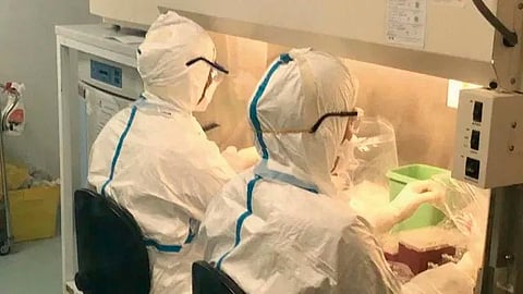 De acuerdo al último conteo realizado por la agencia AFP, van 15 mil 189 personas muertos por la nueva cepa (Foto: @WHO)