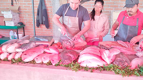 El filete de pescado es ofertado en 117 pesos el kilogramo; en los centros comerciales, el precio promedio es de 139 pesos (Foto Cortesía)
