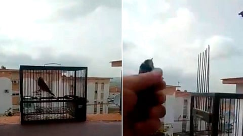La cuarentena cambió la manera de pensar de este hombre (Foto: captura de video)