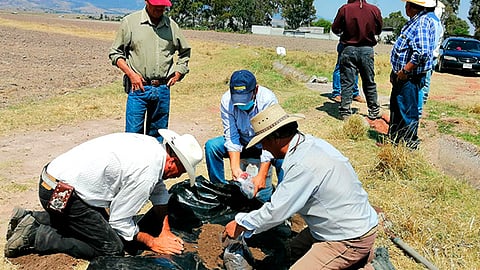 Constante la capacitación a pequeños productores en municipios, para la reproducción de lombriz californiana, así como de la elaboración de compostas (Foto Cortesía)