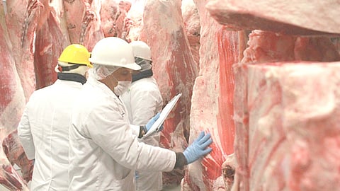 Para mejorar la genética del ganado, el Gobierno de Michoacán aún cuenta con sementales a mitad de precio (Foto Cortesía)