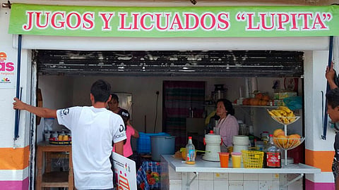 (Foto: Secretaría De Desarrollo Económico de Michoacán)