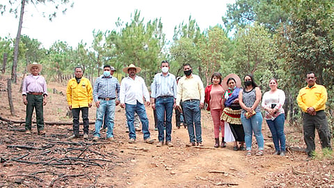 El secretario de Medio Ambiente, Ricardo Luna García, refirió que se debe cuidar hoy el único y real oro verde que tiene Michoacán: el bosque (Foto Cortesía)