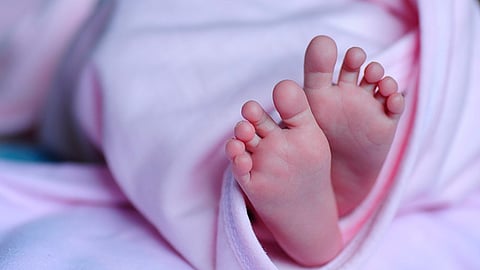 Durante 2018, en México se contabilizaron dos millones 162 mil 535 nacimientos (Foto ilustrativa: pixabay)