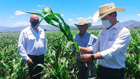 El año pasado, se produjeron 128 mil litros de insumos orgánicos y se atendió a 8 mil hectáreas de cultivos, principalmente de maíz, limón, por citar algunos (Foto Cortesía)